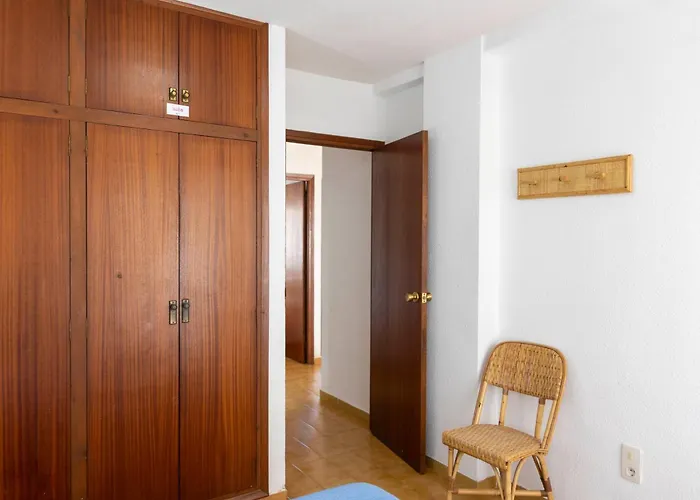 Apartment Primera Linea Coliseum *