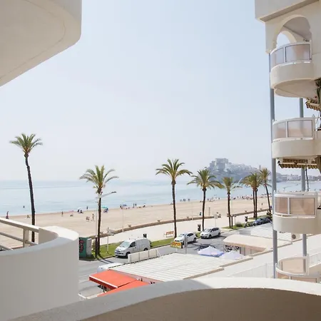 Primera Linea Coliseum