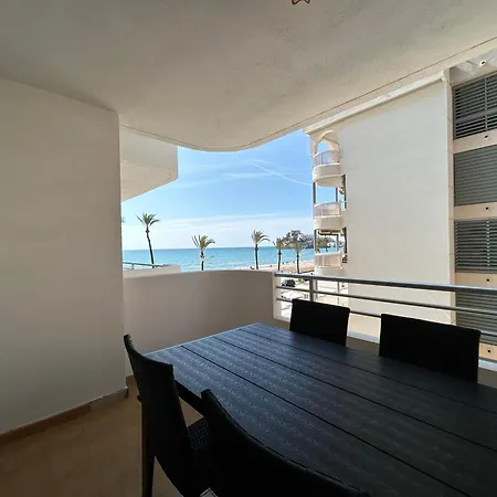 Primera Linea Coliseum *